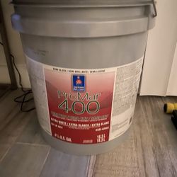 Pintura Extra blanca 