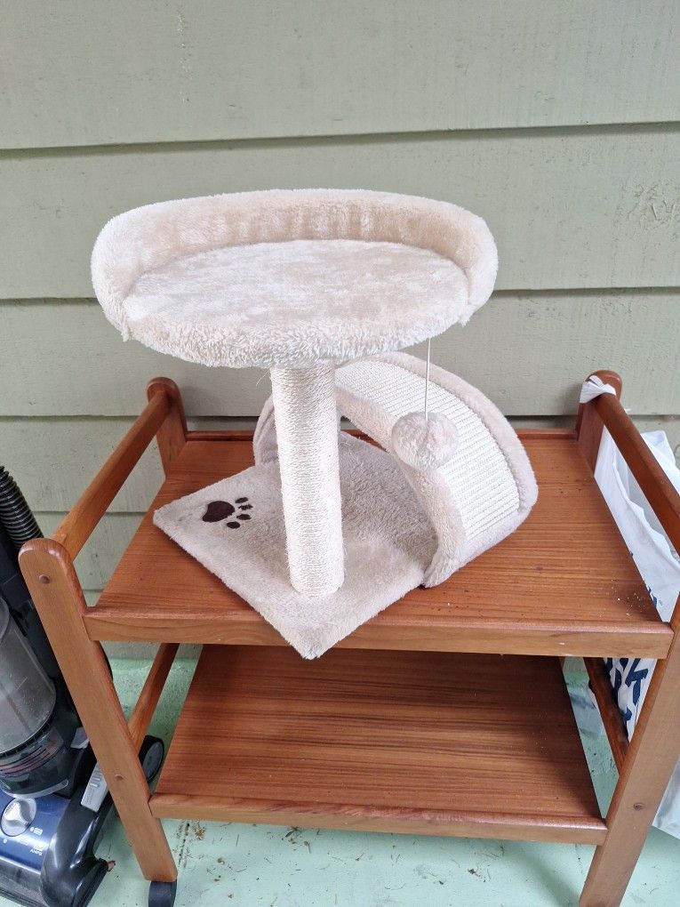 New Cat Play / Scratch /Sleap Center