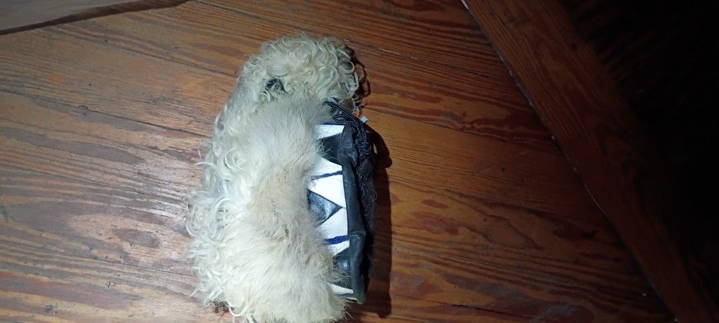 UGG Australia RARE Fluff Momma Mongolian Long Sheepsskin Boots 10 Size