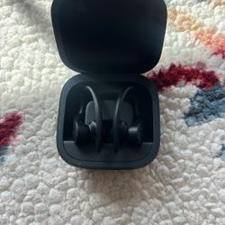 Bose Powerbeats Pro (no Charger Wire)