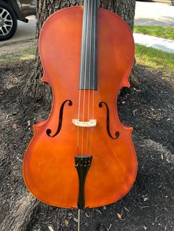 Cello guitar