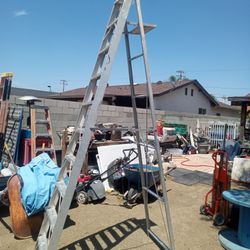 12 Foot Painters Ladder