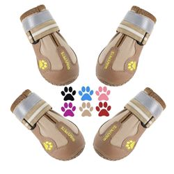 Dog Shoes