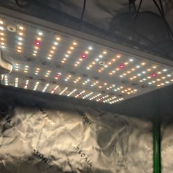 SF1000D LED indoor grow light