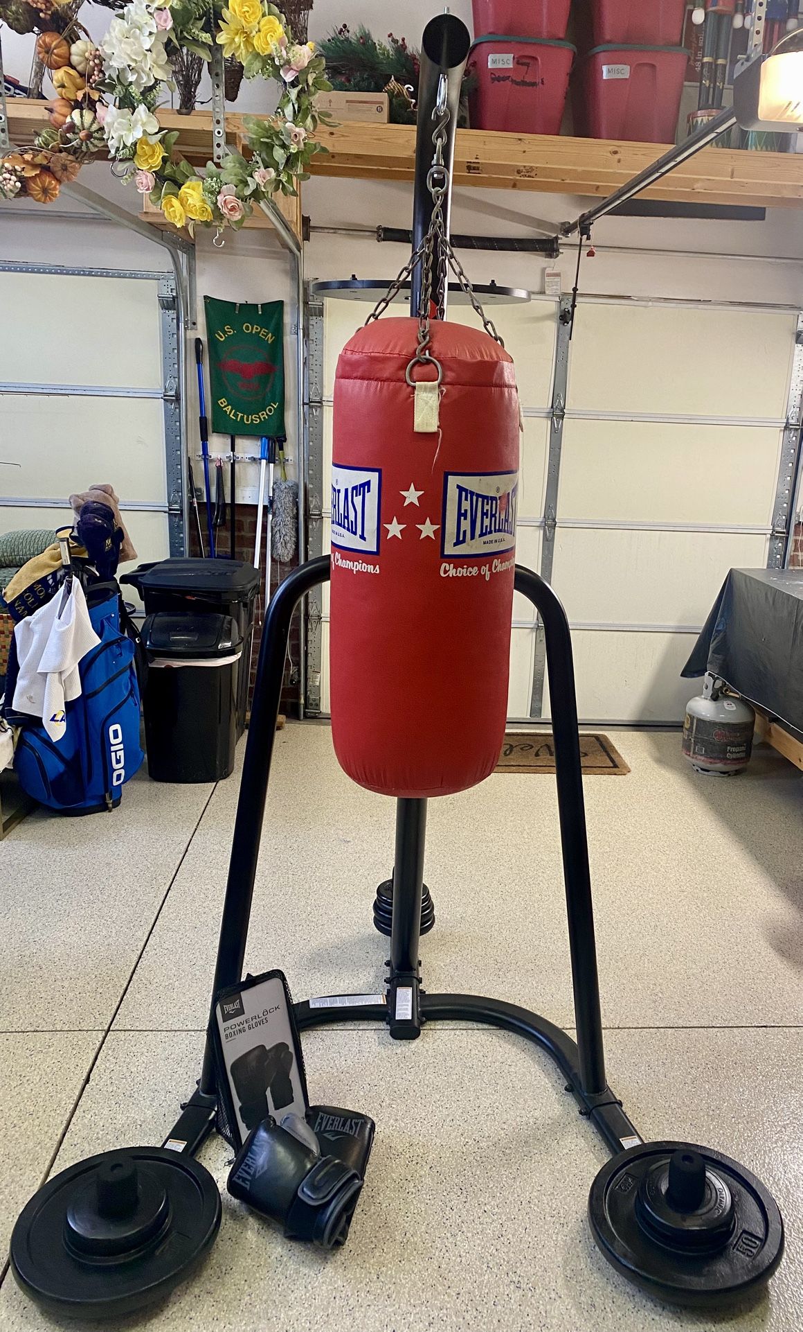 Everlast Punching Bag & Speed Bag
