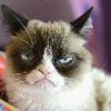 carl