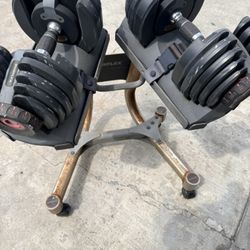 Bowflex Dumbells 