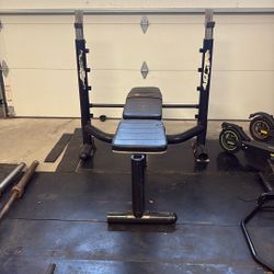 Bench + Olympic Bars 