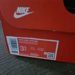 Nike dunk low shoes big kids 3.5