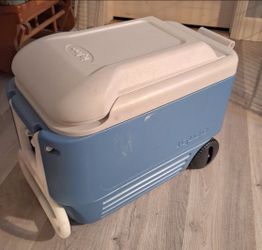 Igloo Ice Chest (Large)