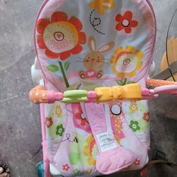 Baby Bouncer