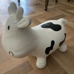 Toddler Hopping Toy 