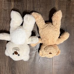 Bear Plushies