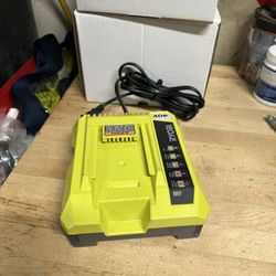 Ryobi 40 V Charger 