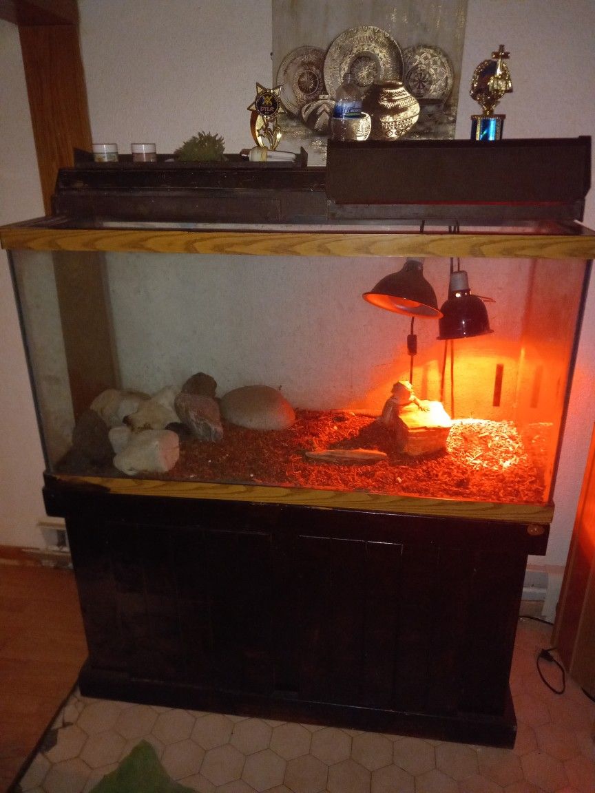 90 Gallon Fish Tank Holds Water Or Reptile Tank With Or Without Bearded Dragon