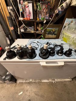 Reptile lamps