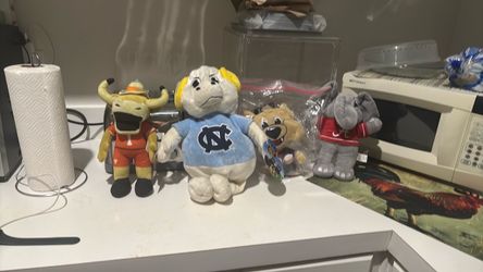 Set of 7