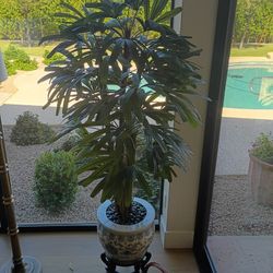 Silk Lady Palm Tree in Premium Blue & White Chinoiserie Planter & Stand - White house Flowers
