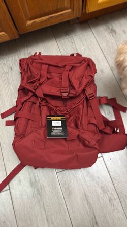 Travel backpack with waist strap