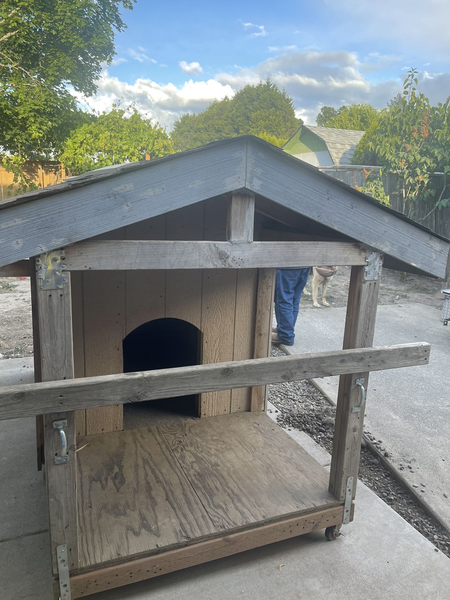 House for dogs