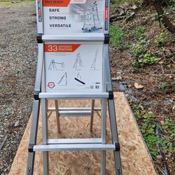 Little giant 22 ' ladder