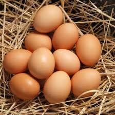 Fresh Free Range Chicken Eggs 
