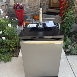 Dual Tap Kegerator