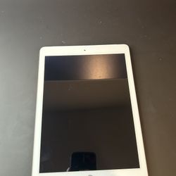 iPad (5th Generation)
