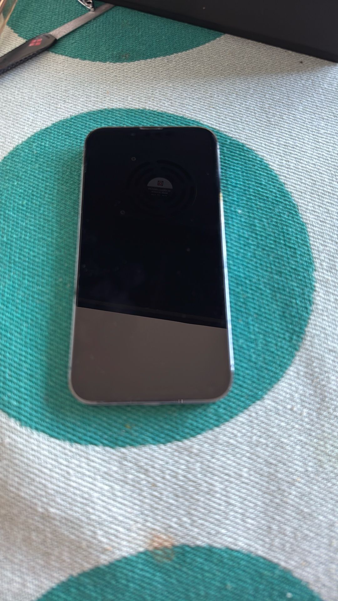 iPhone 13pro