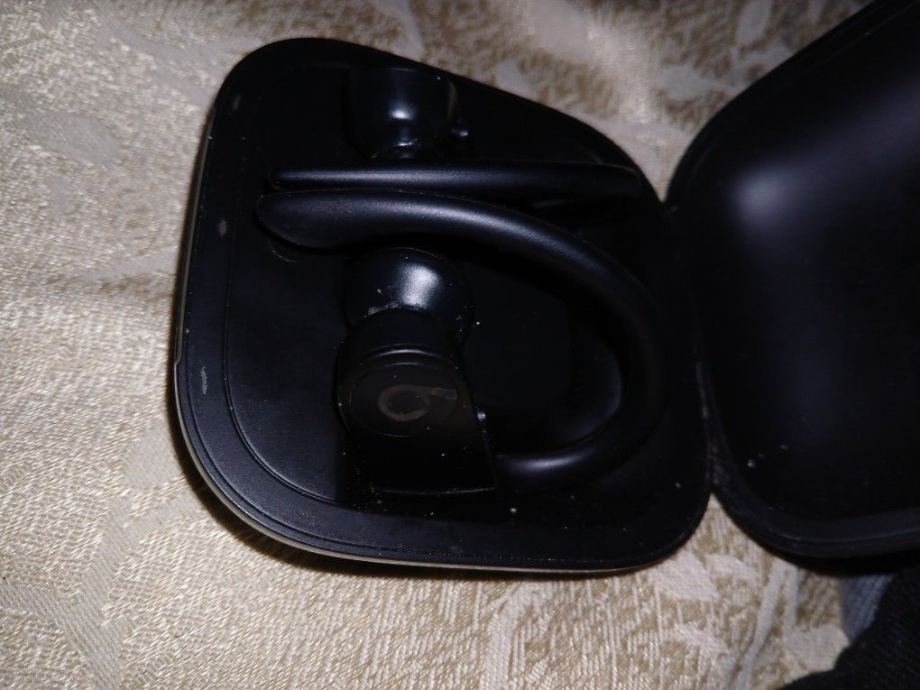 Apple Powerbeats Pro