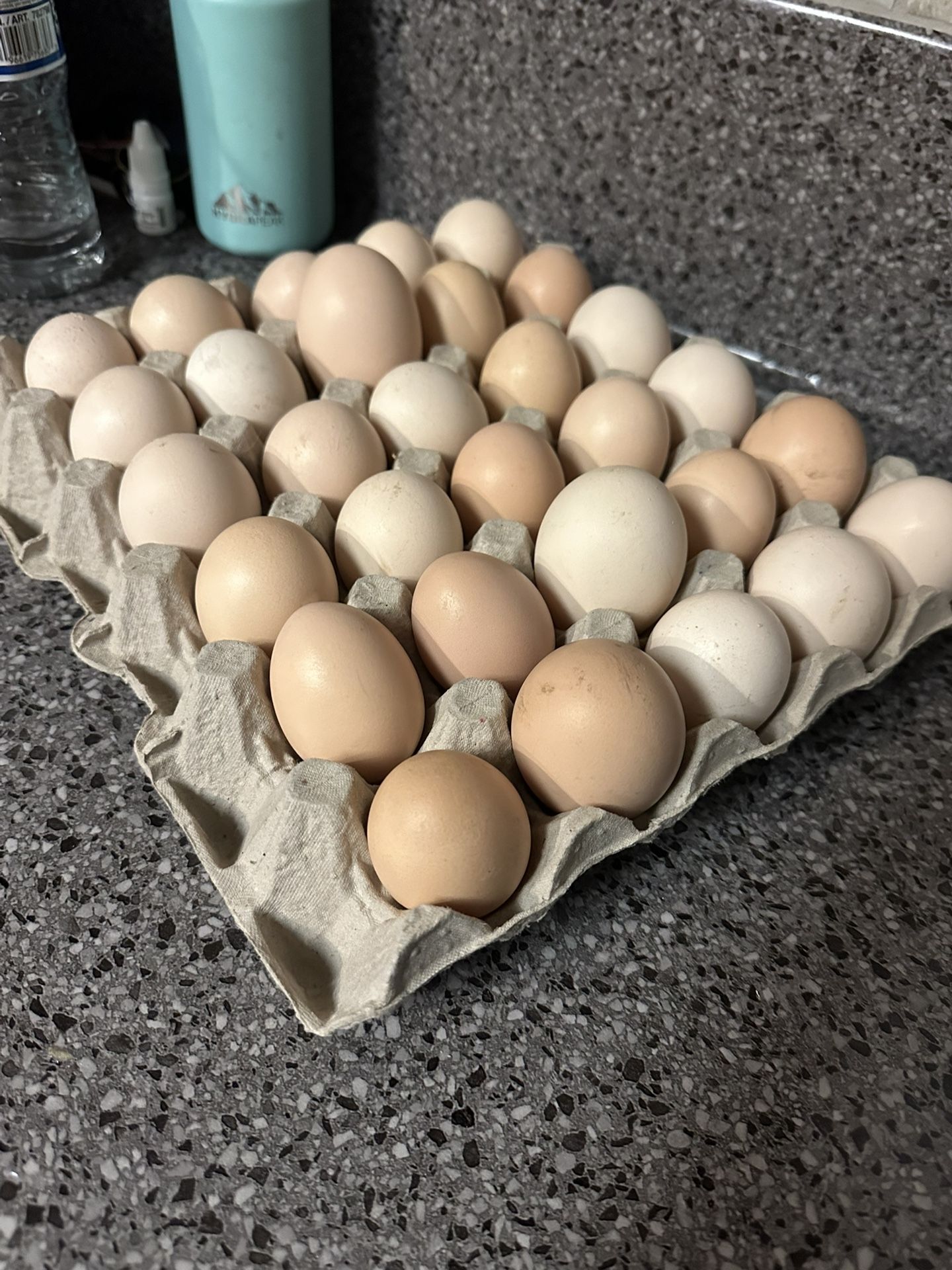 organic farm fresh eggs