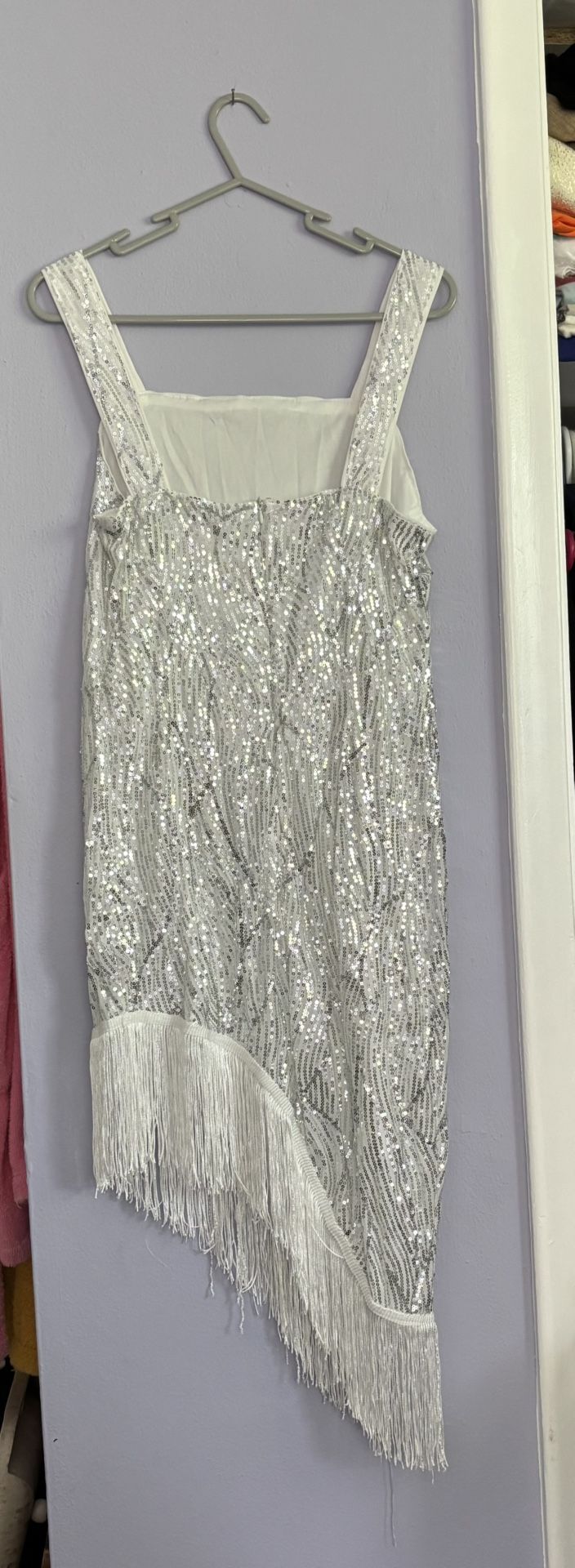 Elegant Fringe Hem Sequin Dress