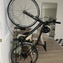 Cannondale Quick 6