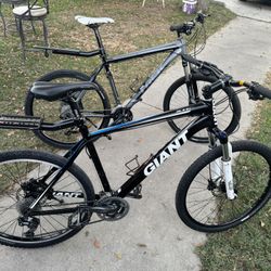 1 Giant And 1 Trek Bicycle