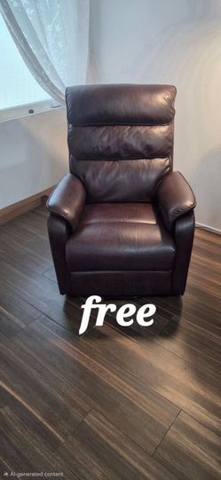 Recliner/Lift Chair