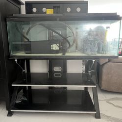 YES ITS AVAILABLE 45 Gallon Aquarium