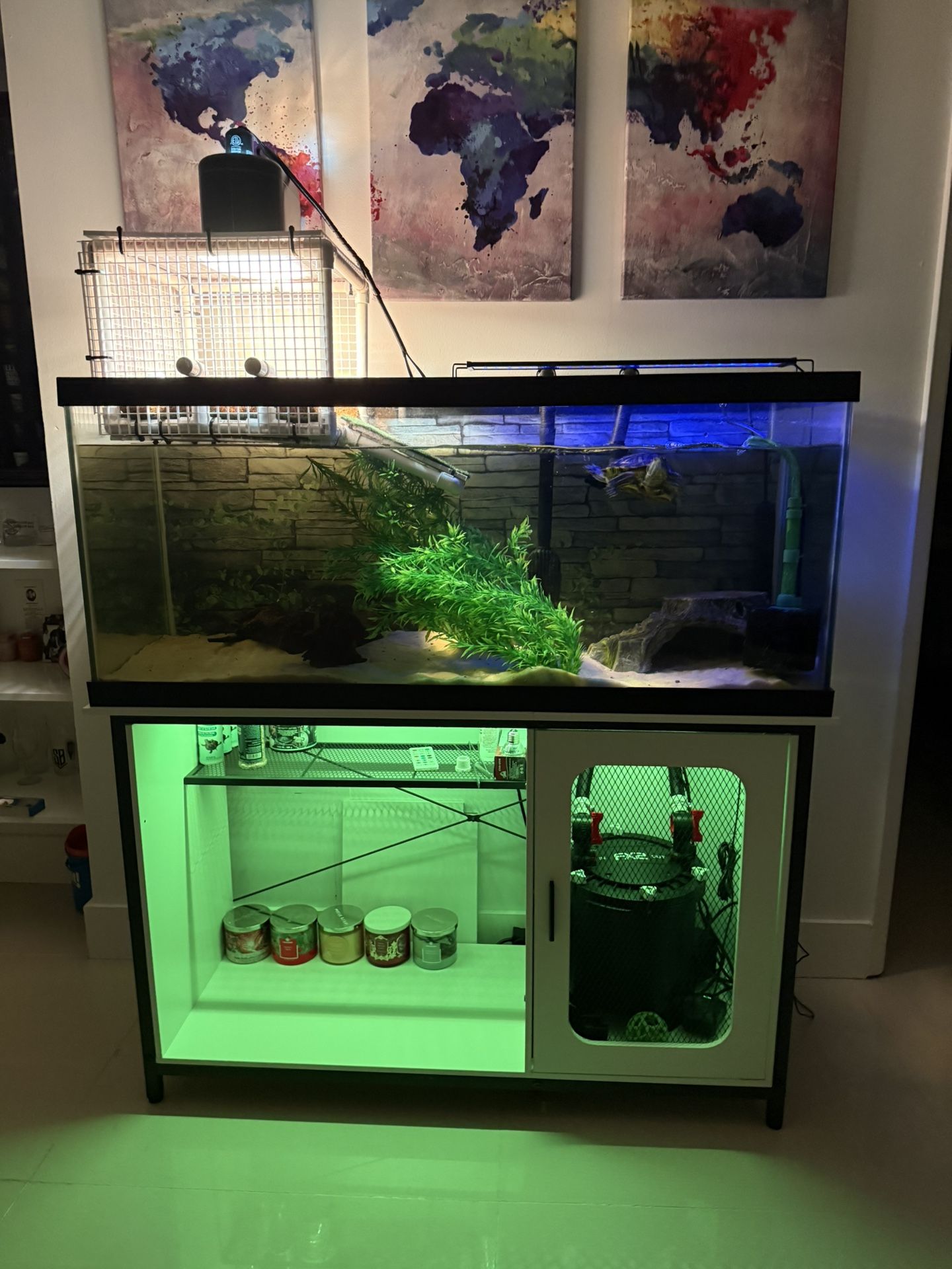 75 Gallon Tank (Turtle)