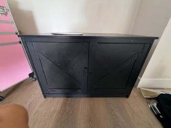 Furniture  litter box