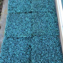 20"x20" thick artificial grass decor boxwood 12 pieces