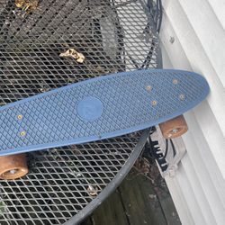Retro Penny scale Skateboard