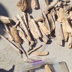 Driftwood Collection  Perfect for Crafts, Aquariums, or Home Décor 🌿