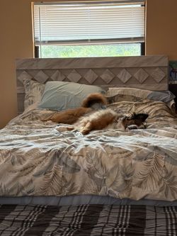Queen bed frame +bedside table