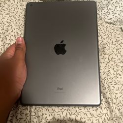 iPad 