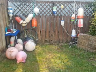 Beach Finds Make Offer