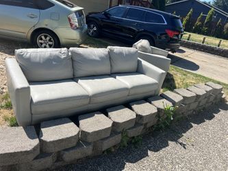 Leather Grey Coaches 
