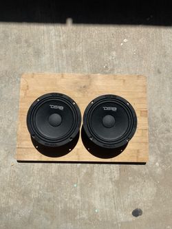Ds18 6.5 speakers