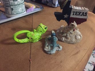 Group of beautiful lizards 2 of them from tx and third one plastic