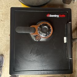 Sentry Safe