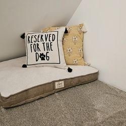 Dog Bed And Cute Pillows