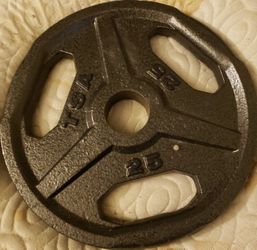 TSA 25lbs Plate Weights